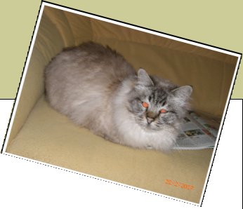 Bild : Jeanny